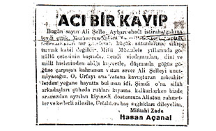 AL� �ELL�  FOTO GALER�