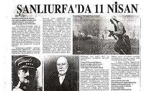 AL� �ELL�  FOTO GALER�